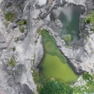 Read more about the article Porta erat et diam in in eu at lacus cursus